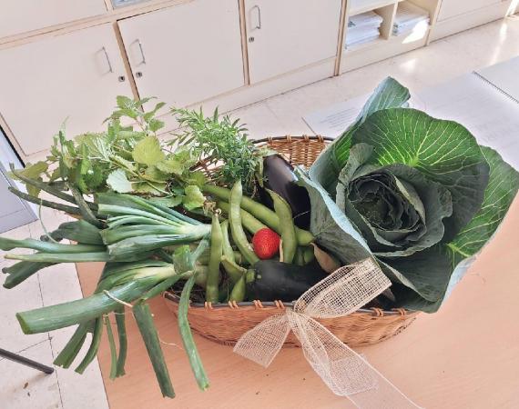 primera-cesta-de-productos-ecologicos-de-nuestro-huerto-e-invernadero-escolar